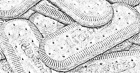 Produção x divulgação é como: “Tostines é fresquinho porque vende mais, ou vende mais porque é fresquinho?"