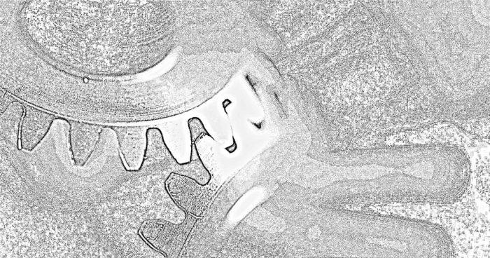 Vai implementar content marketing? Não se esqueça de resolver problemas de produto e de divulgação